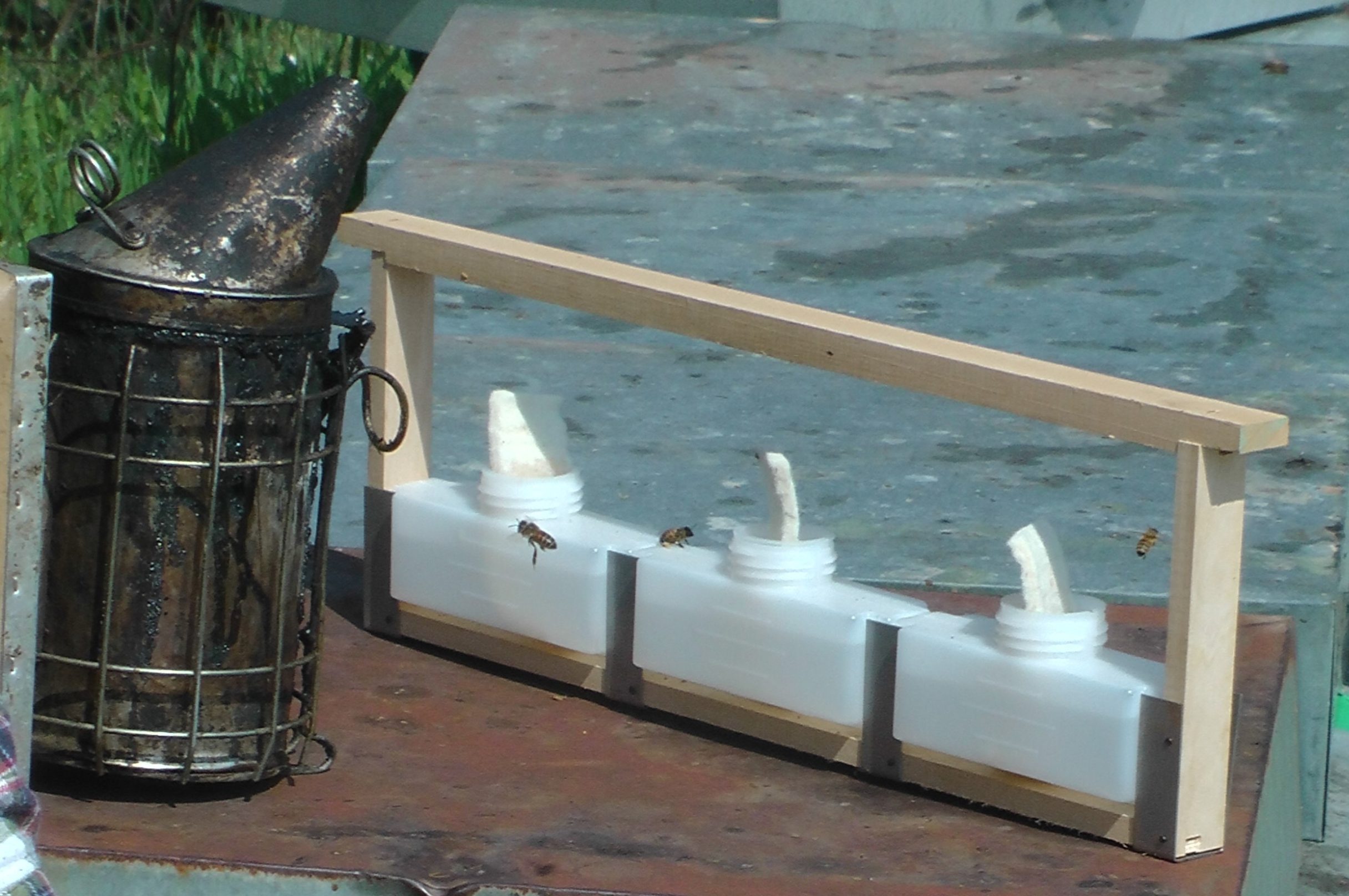 Utilizzo di diverse concentrazioni di acido formico – Sanità apistica