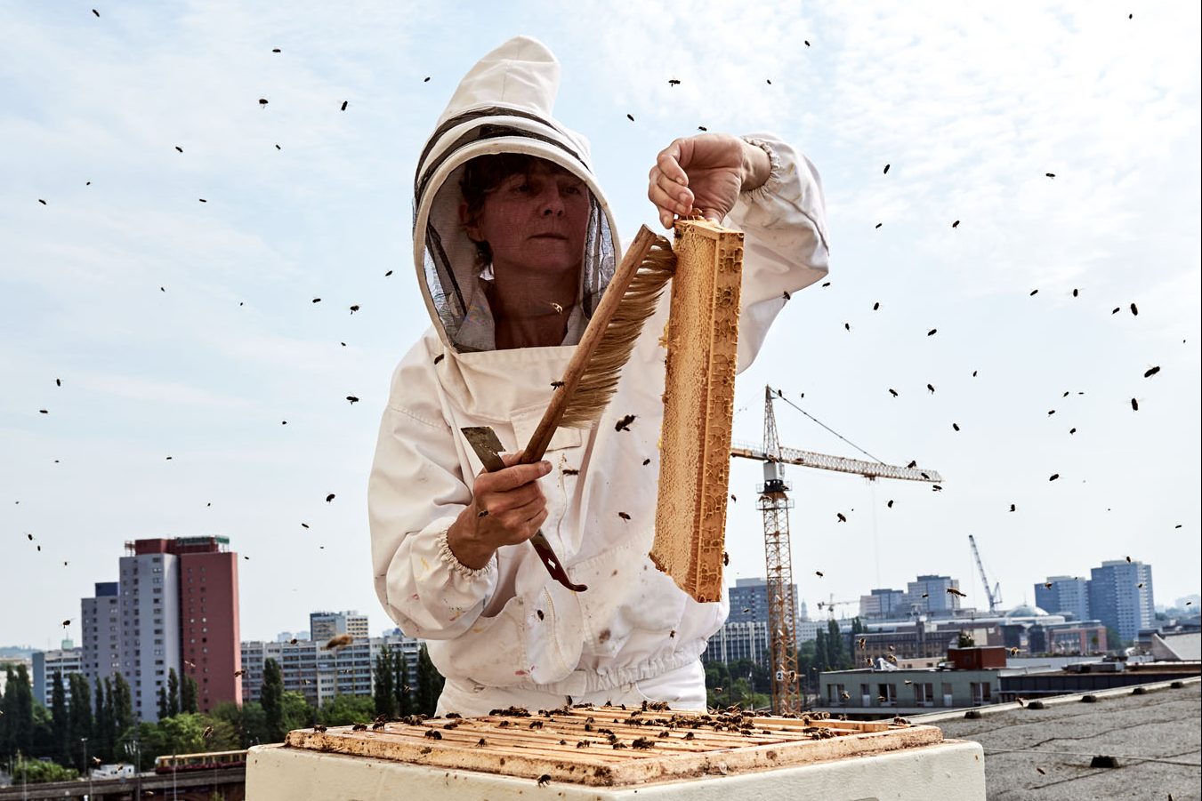 Il cielo sopra Berlino – Volti al femminile