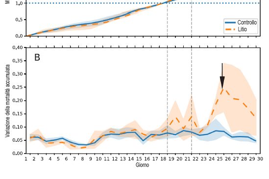 Litio, quali novità?- Sanità apistica