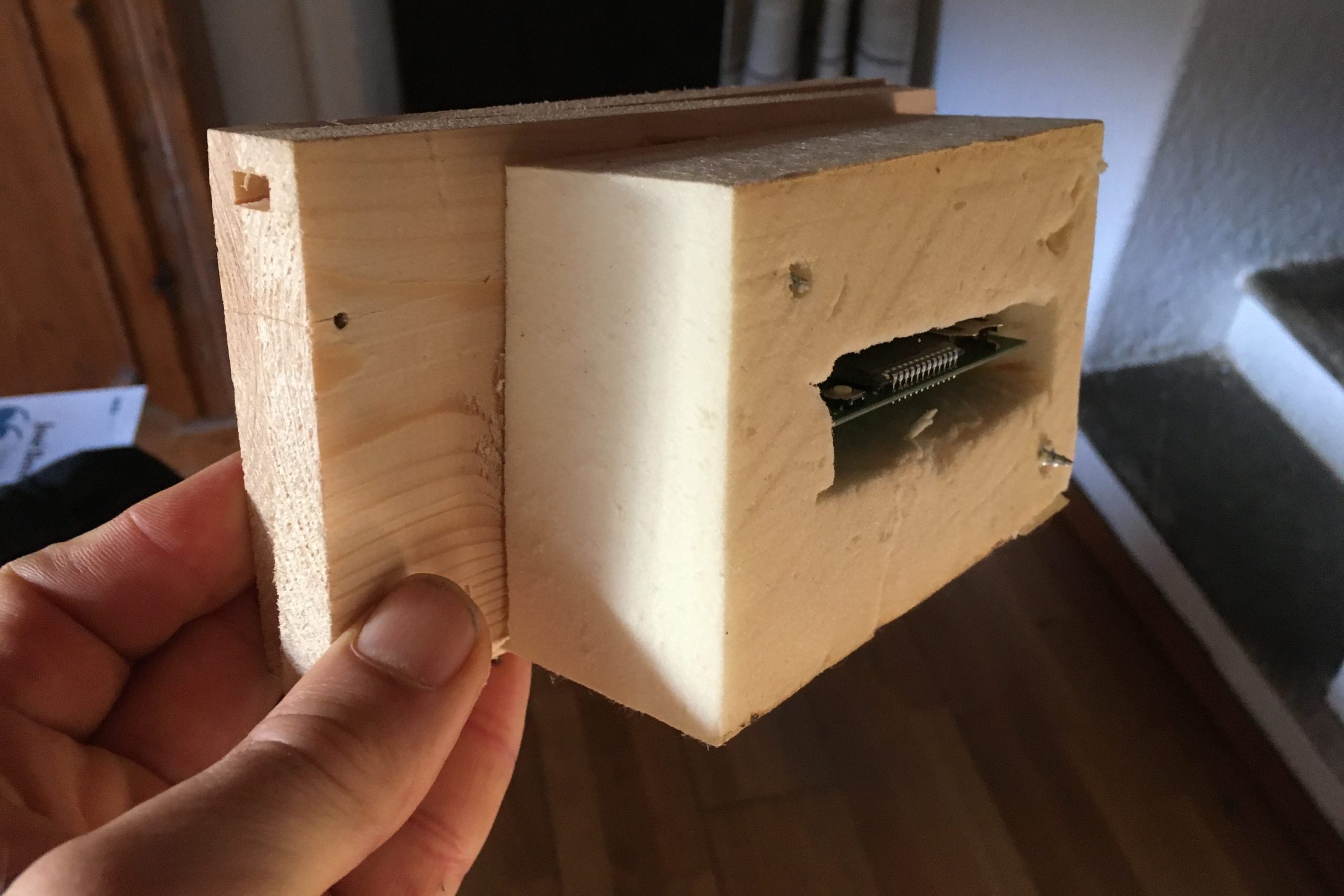 L’ape e l’architettura – Novità dalla ricerca