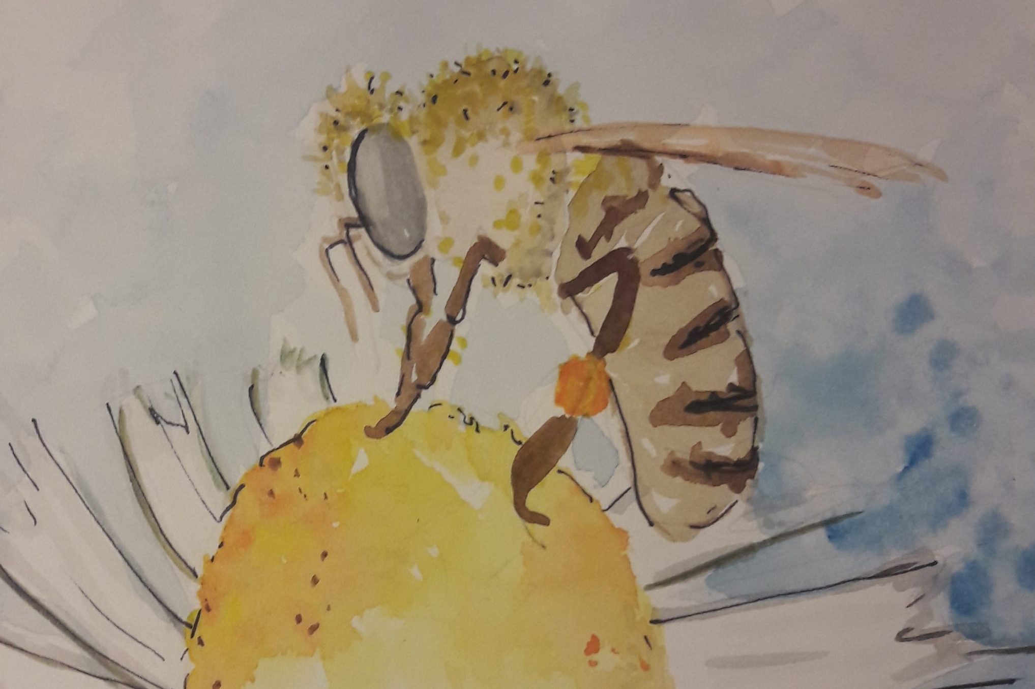 Storie di ridotta fertilità – Api e agricoltura