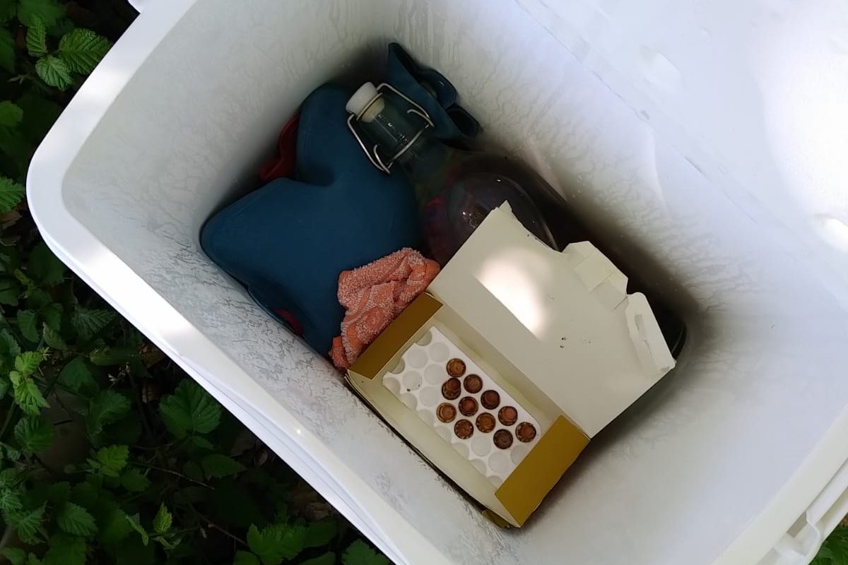 Tutti abbiamo fatto delle stupidaggini – Don’t try this in your azienda apistica