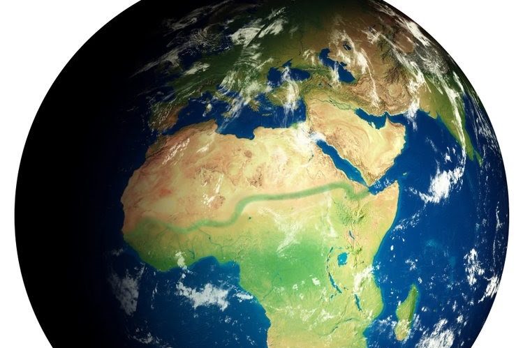 Il cambiamento climatico e l’apicoltura: cosa stiamo vivendo?  – Api e agricoltura