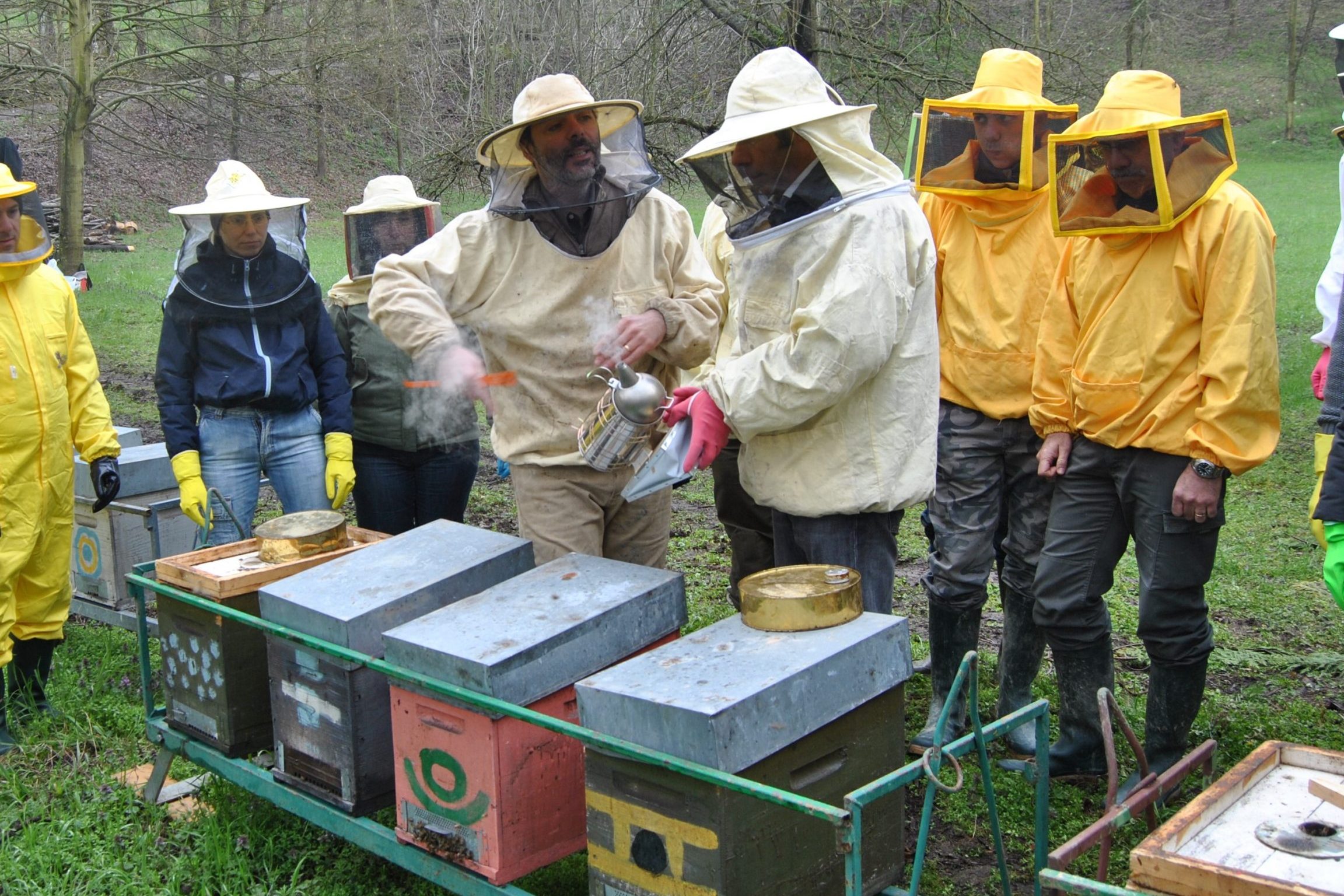 Monta la discussione su: Sono i corsi per principianti a “riempire” i territori di apicoltori impreparati? – 	Apicoltura