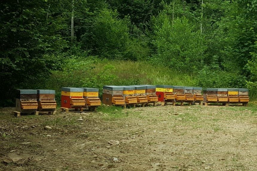 Meglio su che giù – Tecnica apistica