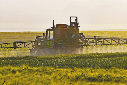 Il declino dell’apicoltura è parte della crisi dell’attuale modello agricolo – Api e agricoltura