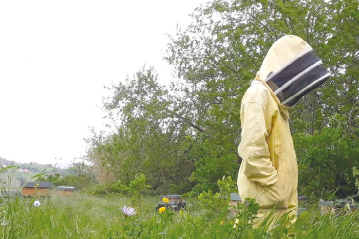 Commissario Montalbano – Fumo e leva