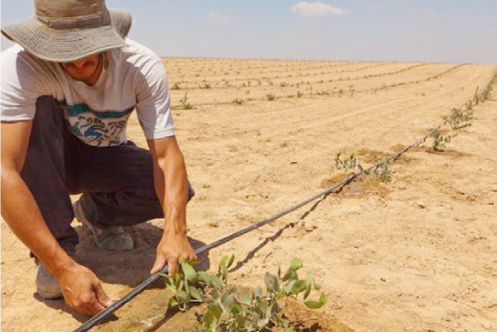 Il cambiamento climatico e l’apicoltura: cosa stiamo vivendo? – Api e Agricoltura