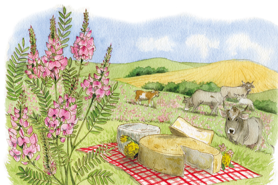 Il calendario de “Lenostre api” Associazione apicoltori Emilia-Romagna – Api e Agricoltura