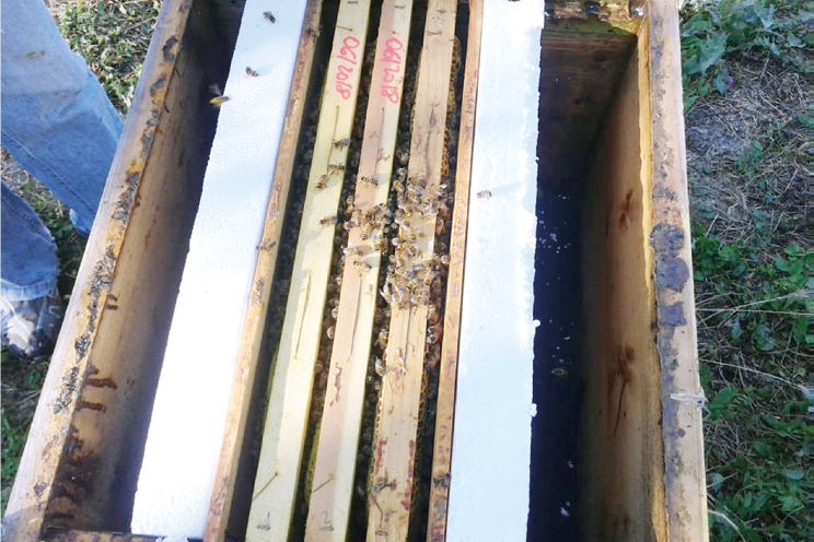 Aspettando tempi migliori – Quattro capriole di fumo