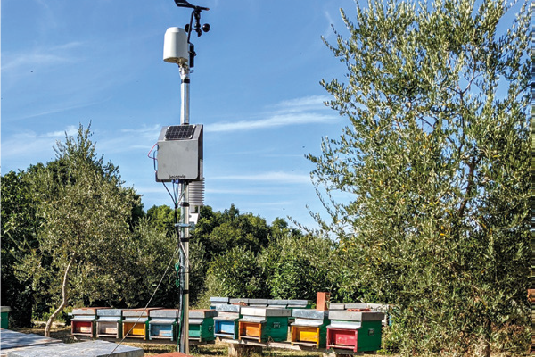 Cresce la rete BEE-RAP – Associazioni