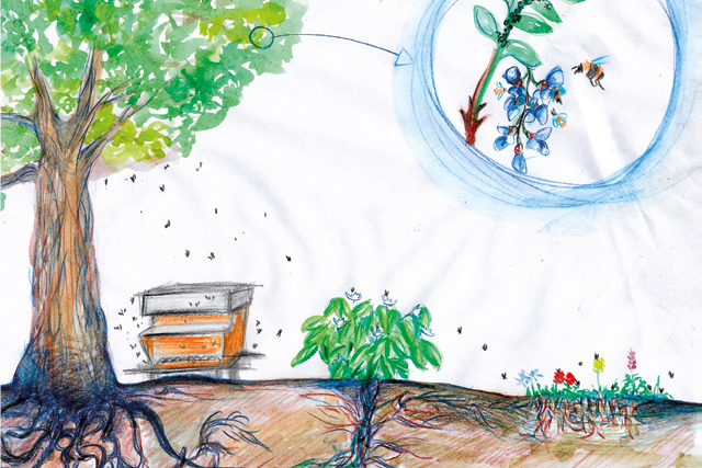 Le moltitudini del miele – Api e agricoltura