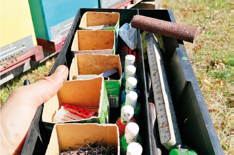 Apicoltura alpina, la diversificazione della mia azienda, allevamento di regine – Apicoltura d’Italia