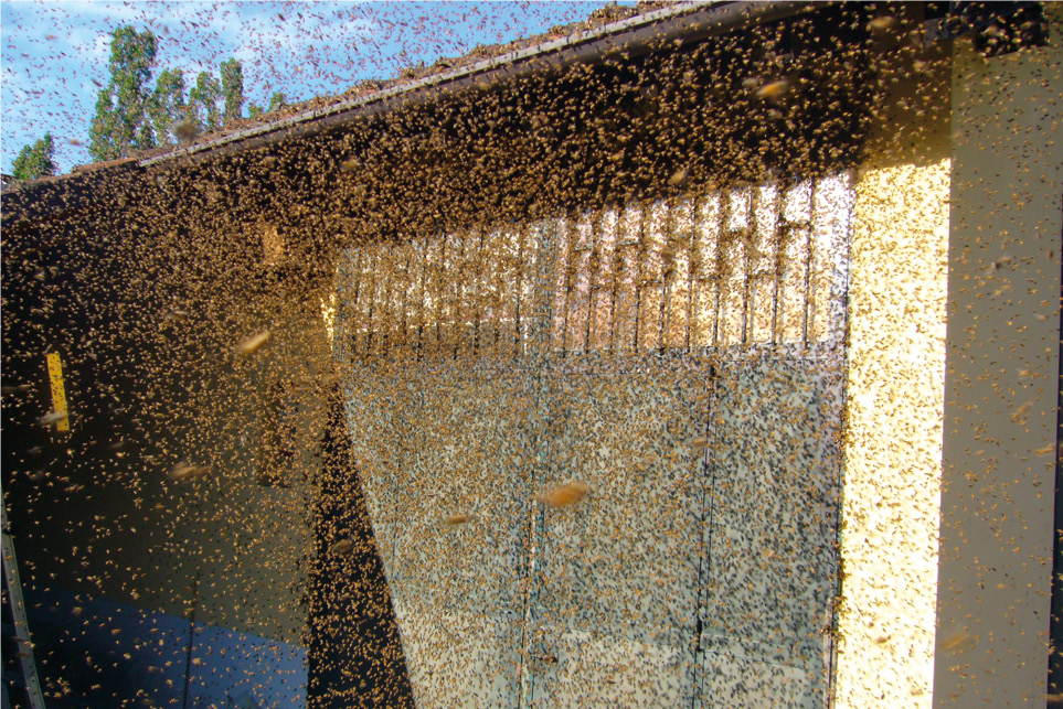 Al mio via, scatenate l’inferno! – Quattro capriole di fumo