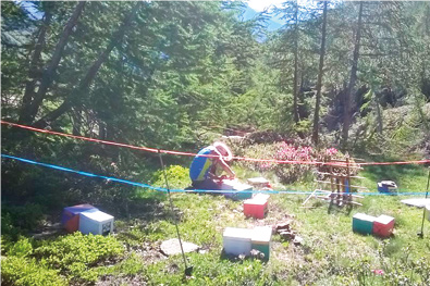 Giornata di studio Aissa 2022. Un incontro in presenza – Selezione e riproduzione