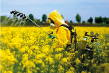 Insettikiller – L’impatto ambientale dell’industria agrochimica. Un documentario “da paura” – Recensione