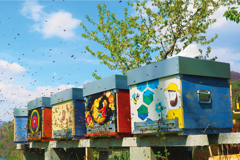Apiario d’Autore 2019–2023 – Api e arte