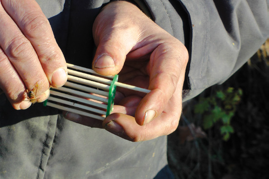 Un posto all’ombra – Tecnica apistica