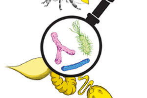 Guardare il micro per capire il macro – Novità dalla ricerca