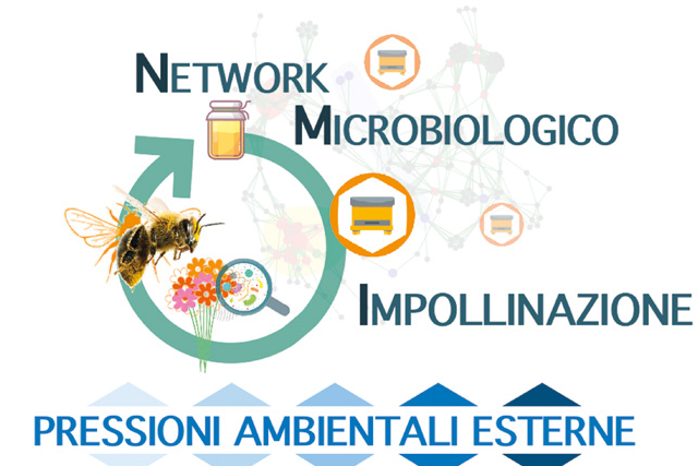 Per fare tutto ci vuole un fiore – Novità dalla ricerca