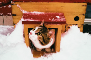 Un confine sottile – Novità dalla ricerca