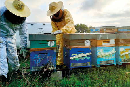 Da che punto guardi il mondo, tutto dipende – Benvenuti tra gioie e dolori