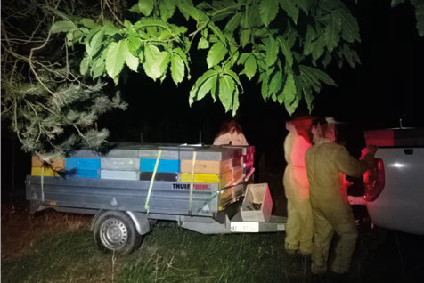 Il viaggio – pochi grammi di coraggio – Benvenuti tra gioie e dolori