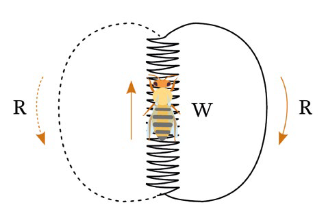 Senti chi parla – Quattro capriole di fumo