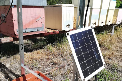 Velutina: prove pratiche di difesa degli alveari tramite l’uso dell’arpa elettrica – Nemici delle api
