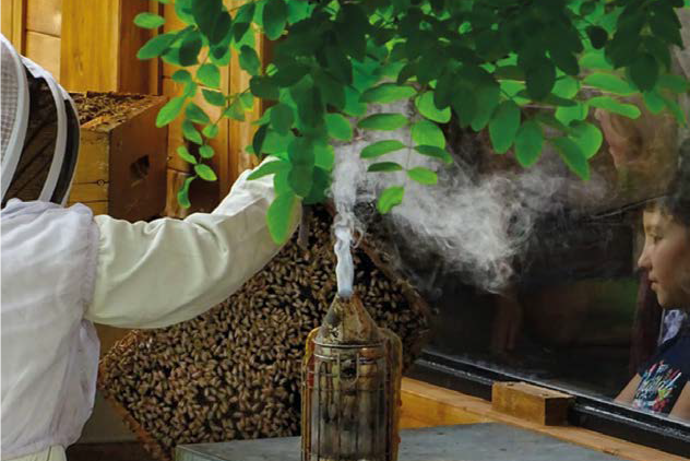 Inverno – Benvenuti tra gioie e dolori