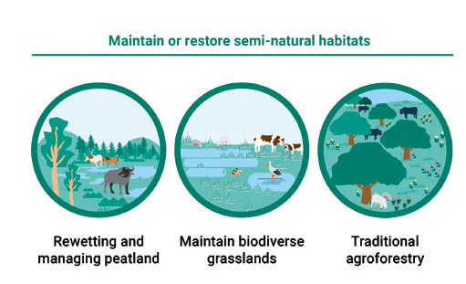 Per un pugno di euro, ovvero chi è causa del suo mal… – Agricoltura e ambiente
