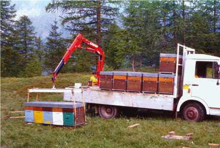 Il nostro modo di fare nomadismo – Tecnica apistica