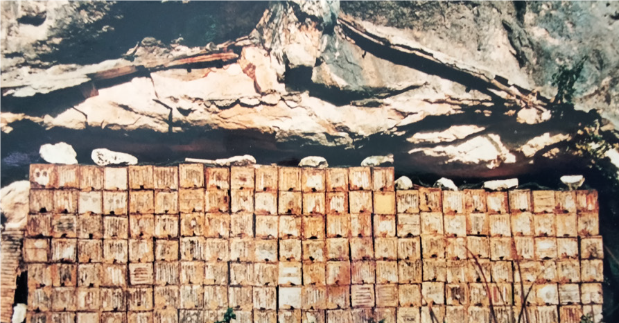 Apicoltore degli Iblei nel patrimonio culturale: è “tesoro umano vivente” – Apicoltura