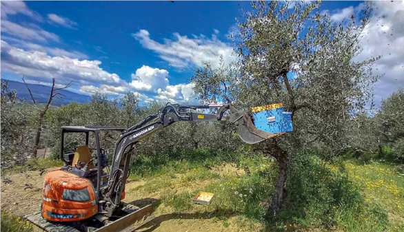 Come intervenire sulla sciamatura: la prevenzione – Tecnica apistica