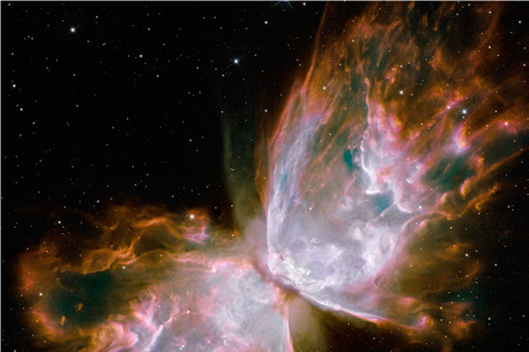 Visione per l’agricoltura e l’alimentazione della Commissione europea – Notizie da Bruxelles