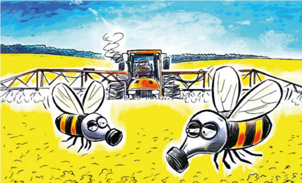 A metà strada – Novità dalla ricerca