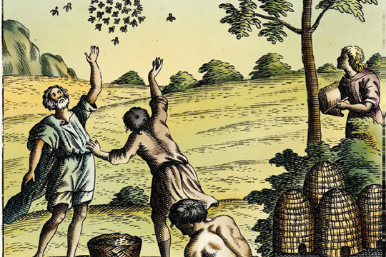 L’alveare di Virgilio: le api come simbolodella civiltà romana – Api tra arte e letteratura