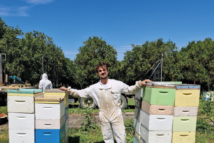 Una stagione apistica in Australia – Apicoltura nel mondo