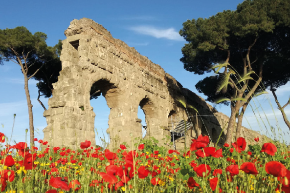 Francesco d’Assisi e la coscienza ecologica