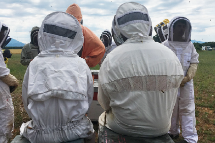 Assistenza tecnica in apicoltura: grosse novità – Apicoltura