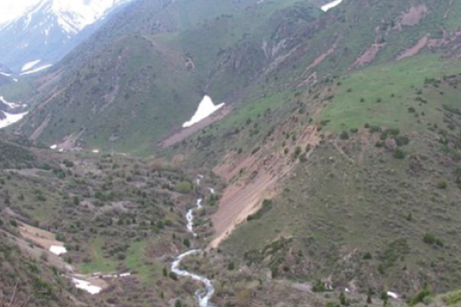 Apis mellifera pomonella: il segreto delle montagne del Tian Shan – Le api nel mondo