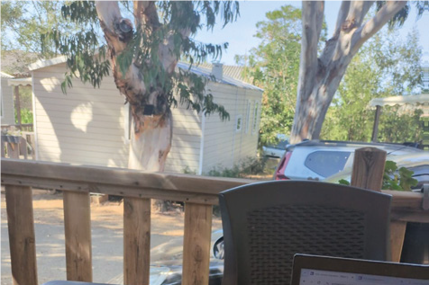 In bilico, tra api e vita – Apicoltura