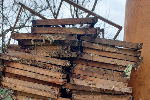 Cosa cambierà davvero per l’apicoltore dopo l’entrata in vigore di RENTRI? – Normativa