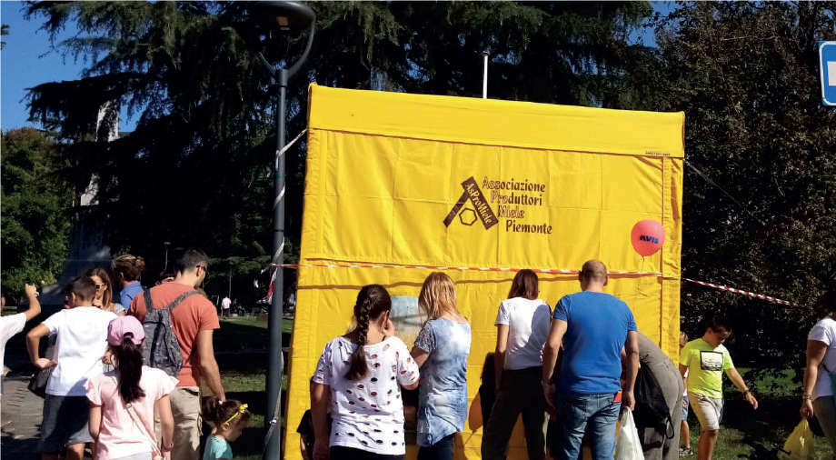 Osservare le api in sicurezza – Apicoltura