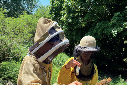 Il Virus della paralisi cronica (CBPV) e le carenze nutrizionali – Pillole di Patologia Apistica