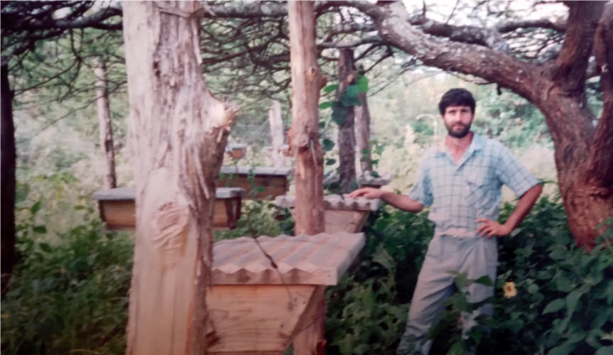 Arnia Top Bar tra realtà e favole – Apicoltura