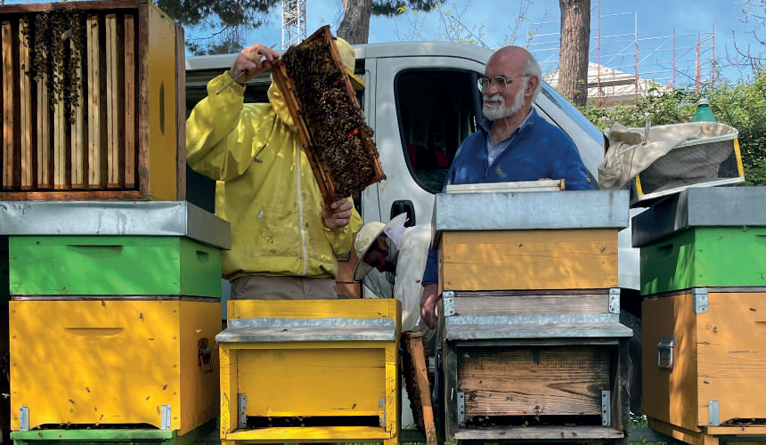 Fondo dell’alveare: chiuso o aperto tutto l’anno? – Tecnica apistica