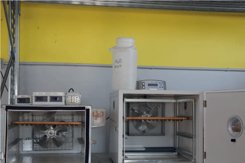 Incubatrici – Tecnologia apistica