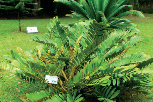 A qualcuno piace caldo – Novità dalla ricerca